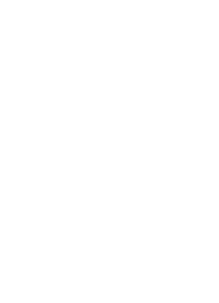 Icon 18
